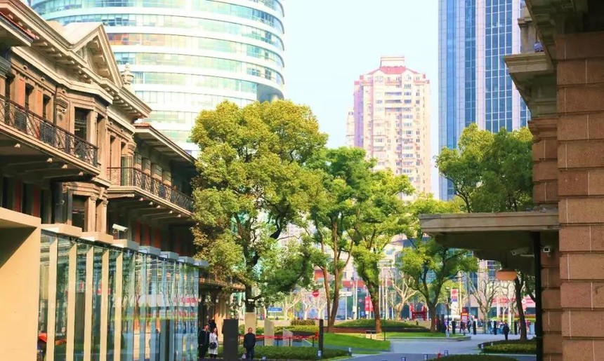 1562419492391469.jpg 1552981348544843.jpg