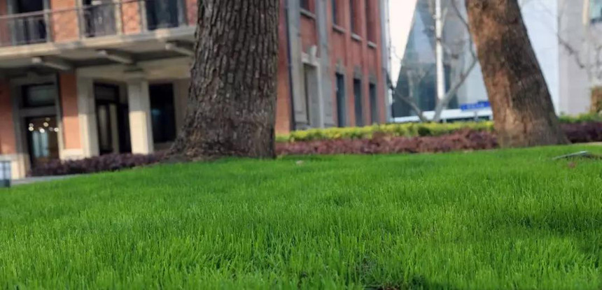 1562419496571432.jpg 1552981385916652.jpg