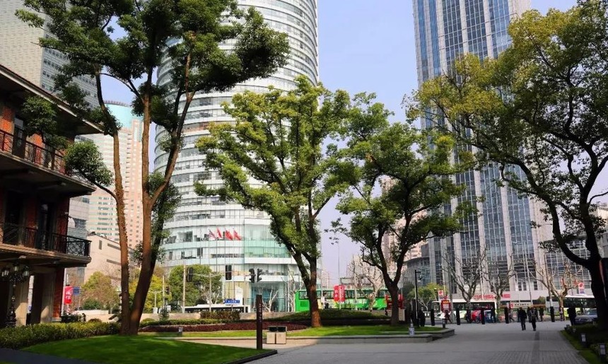 1562419515921842.jpg 1552981475195170.jpg