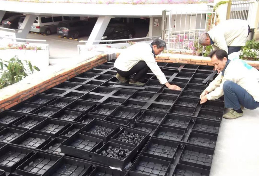 1562419569420155.jpg 1552981531648688.jpg