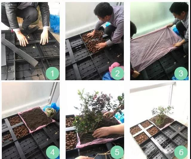 1562419576585301.jpg 1552981532377995.jpg